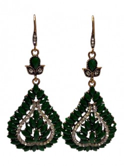 Fashion Earrings